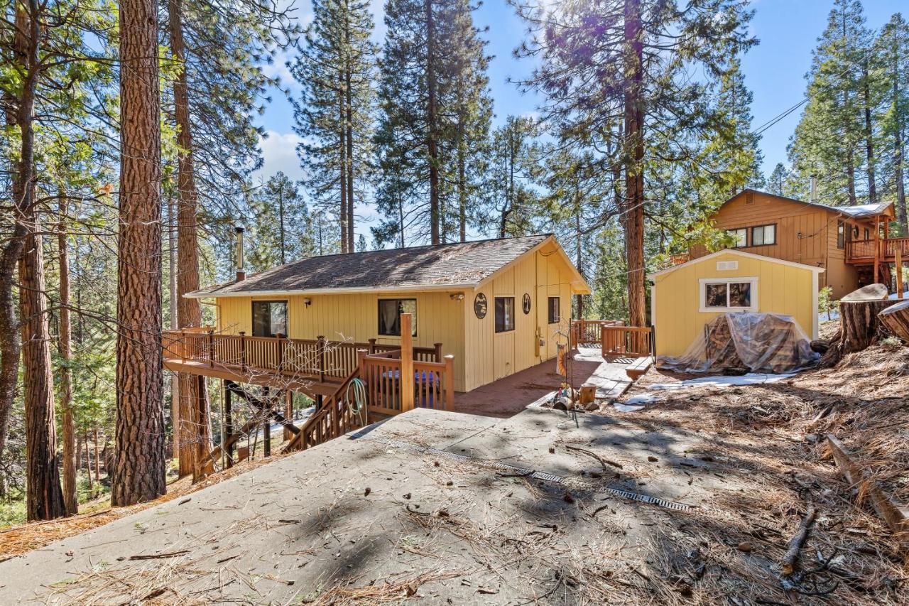 Big Trees, Little Cabin Arnold Εξωτερικό φωτογραφία